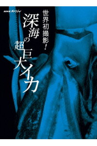 楽天ブックス Nhk Dvd Nhkスペシャル 世界初撮影 深海の超巨大イカ ドキュメンタリー Dvd 楽天ブックス Nhk Dvd Nhkスペシャル 世界初撮影 深海の超巨大イカ ドキュメンタリー Dvd
